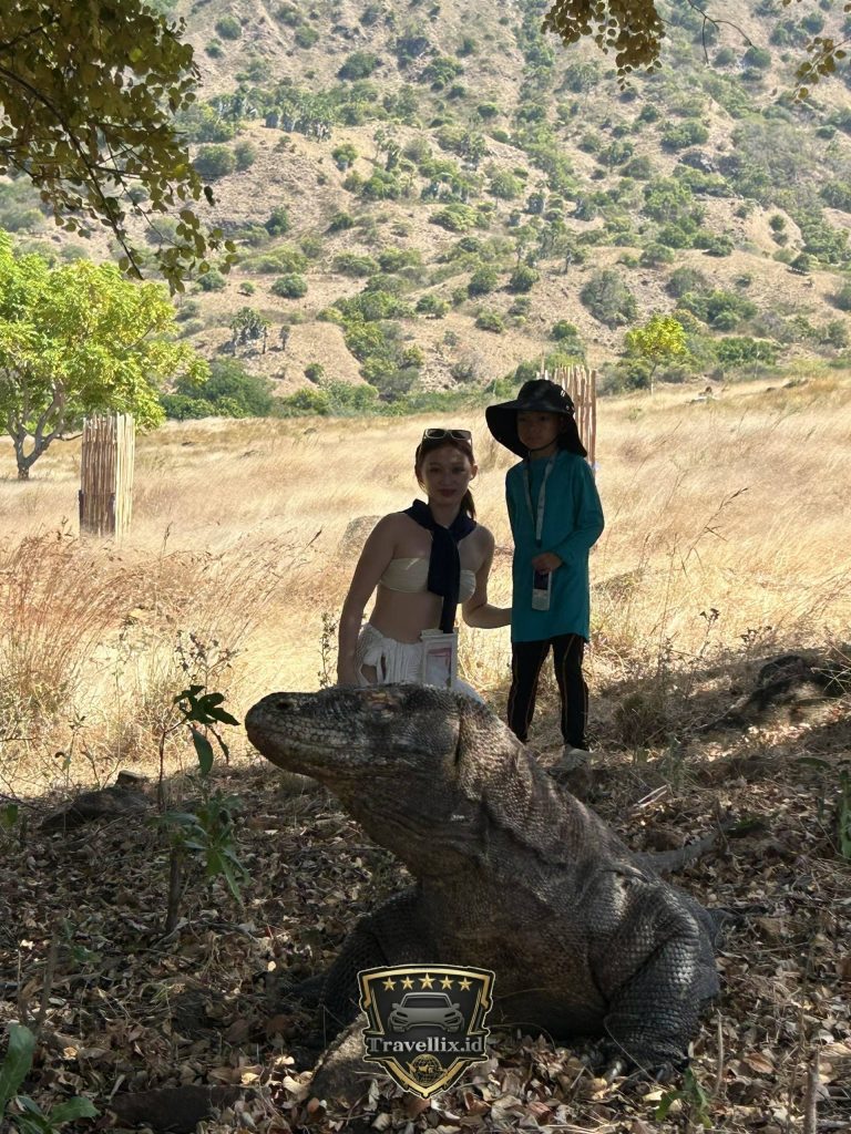 travellix 1757762376392